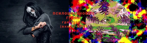 трава Арсеньев