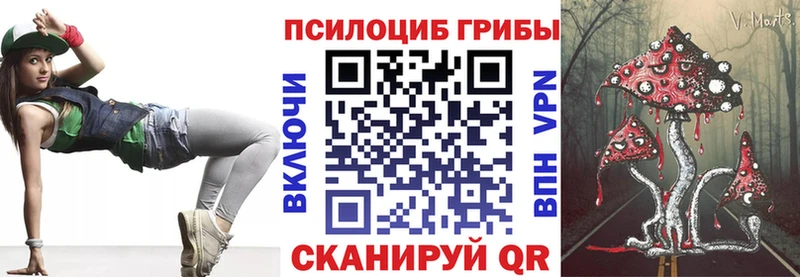 даркнет формула  Богородск  Псилоцибиновые грибы Magic Shrooms 
